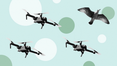 Британия отправит оборудование и специалистов в Бельгию для борьбы с угрозой БПЛА